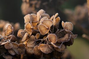受験生が冬の乾燥対策で体調管理をするためのポイントは？