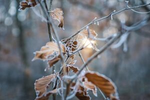 受験生が冬の乾燥対策をしっかり行うための体調管理法は？