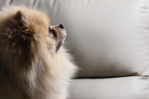 受験生が風邪予防のために受験直前に注意すべきポイントは？