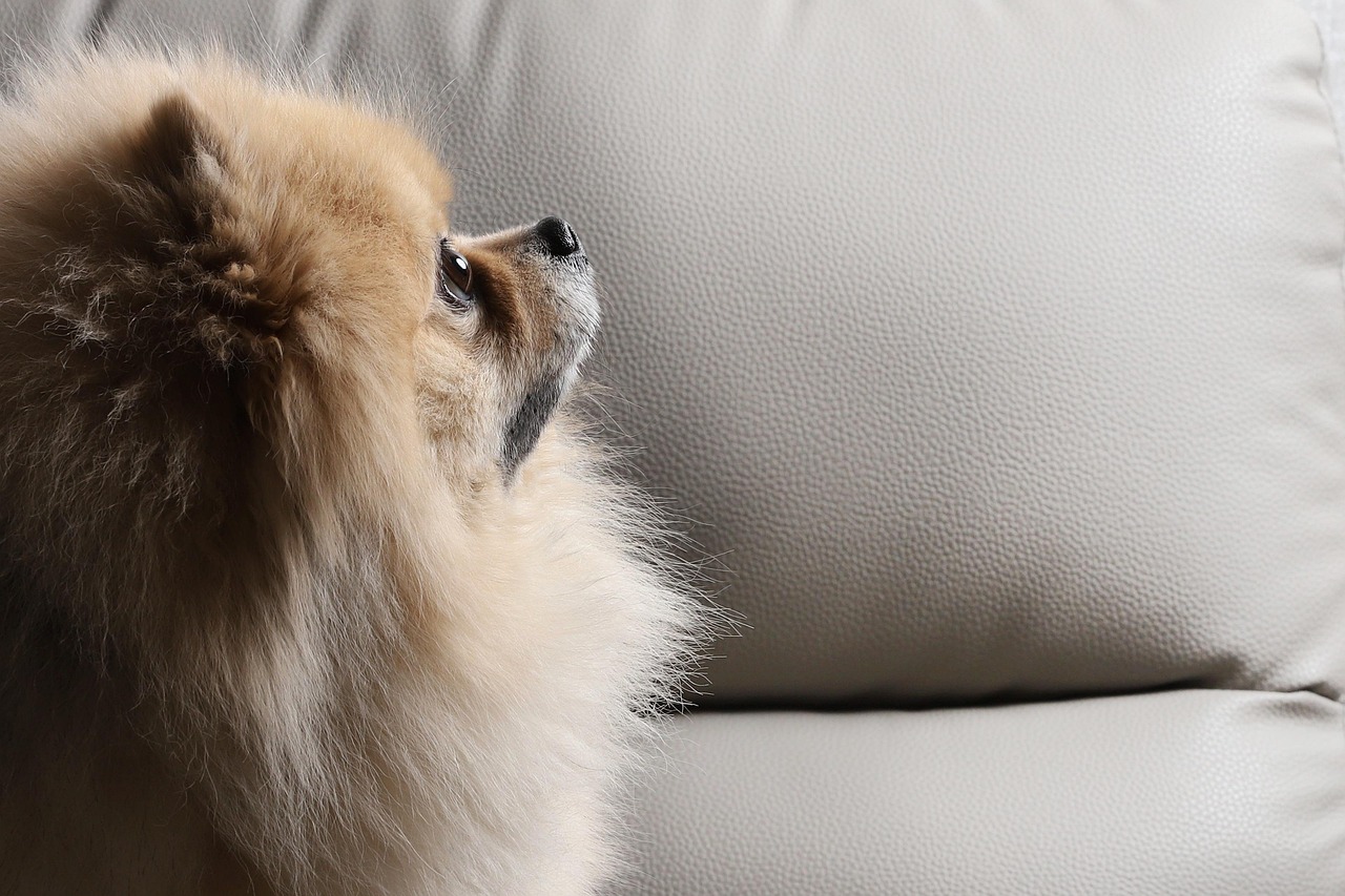 受験生が風邪予防のために受験直前に注意すべきポイントは？