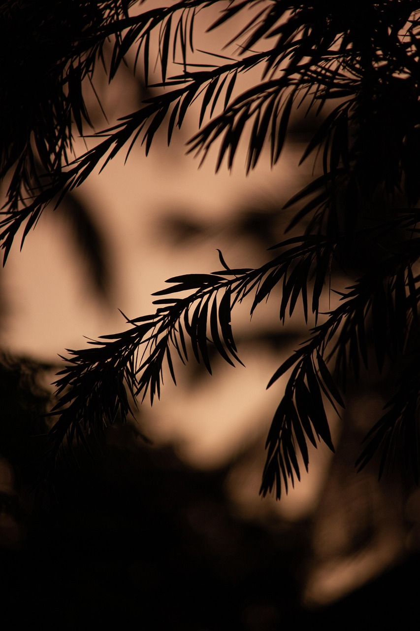 受験生が風邪予防のために知っておくべき手洗いの正しい方法は？