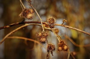 受験生が花粉シーズンに体調管理をしながら勉強する工夫は？