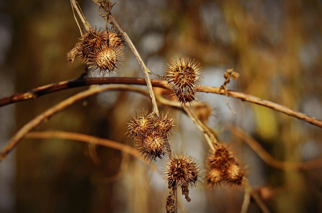 受験生が花粉シーズンに体調管理をしながら勉強する工夫は？