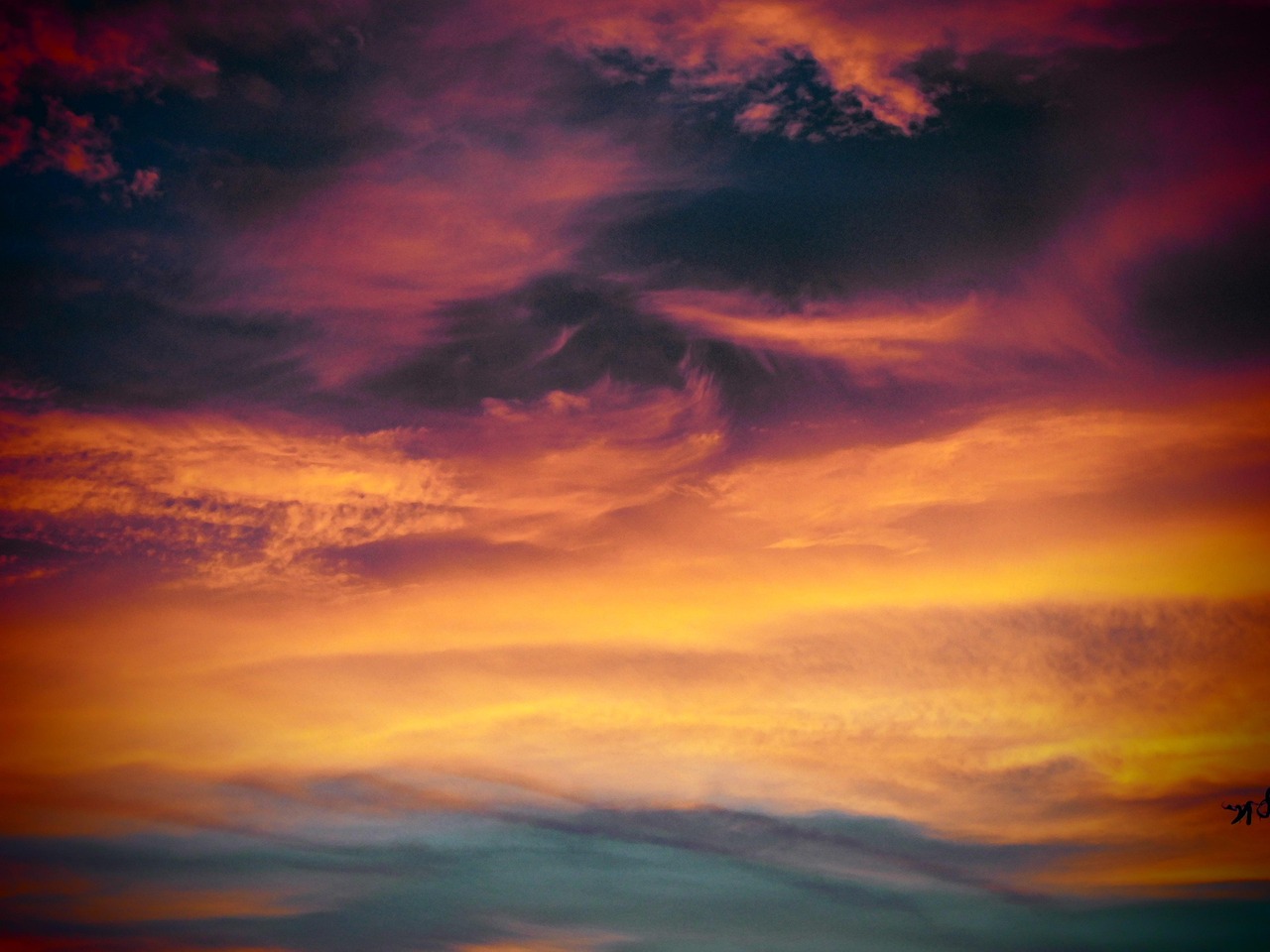 受験生の体調管理と持久走シーズンとの両立方法は？