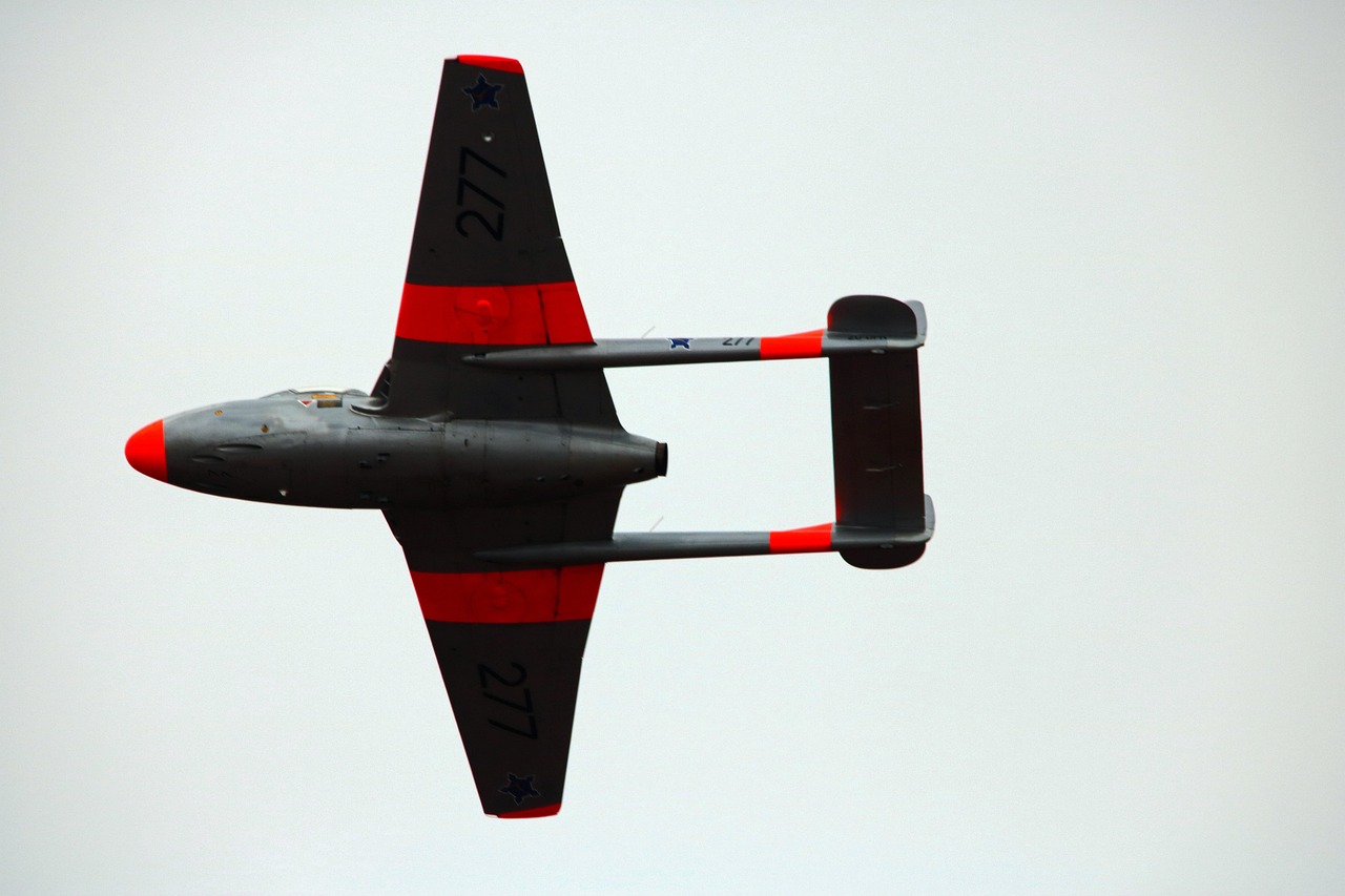 受験生が栄養バランスを考える際、魚が苦手な場合の工夫は？