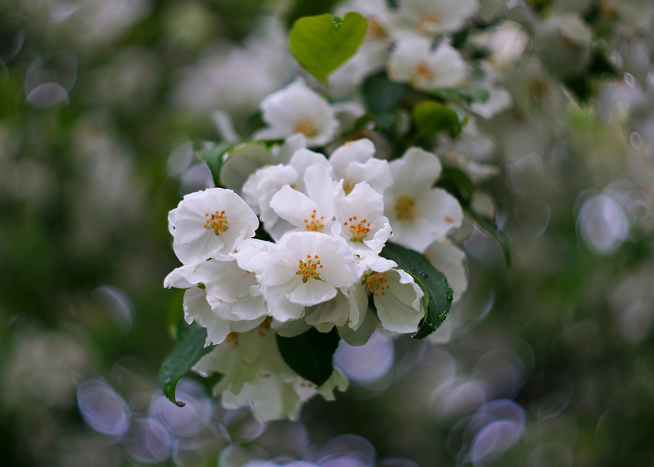 受験生の夜型生活は受験に不利かどうか知りたい？