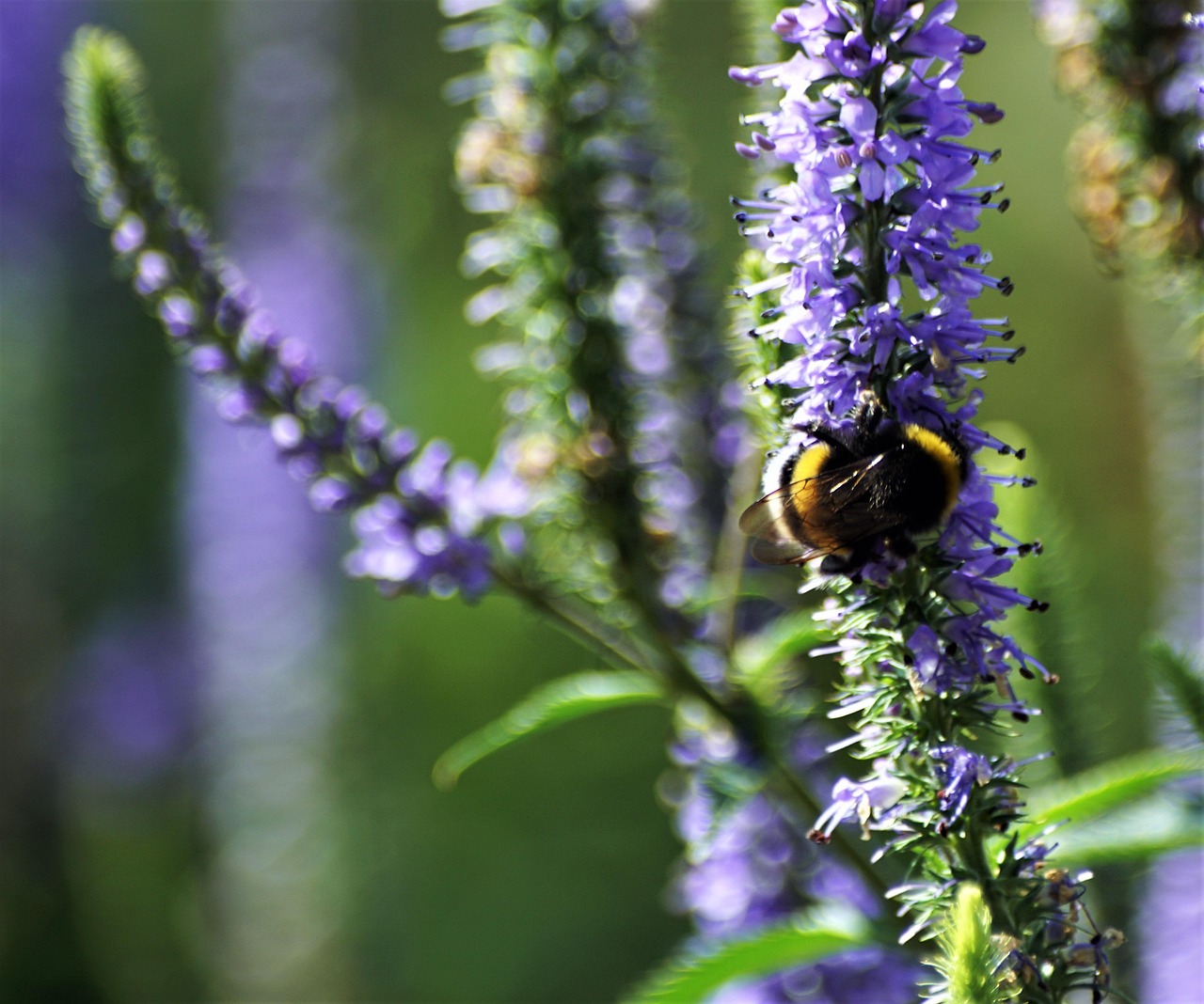 受験生の睡眠と成績の関係を知りたい時に考慮すべきポイントは？