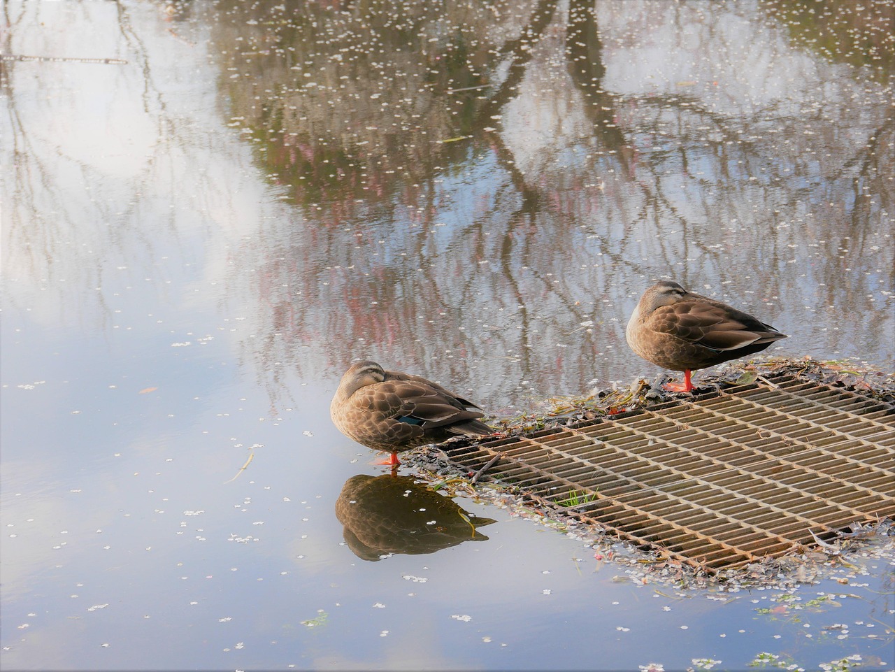 受験生がメンタルケアで休むことに罪悪感を感じる理由とは？
