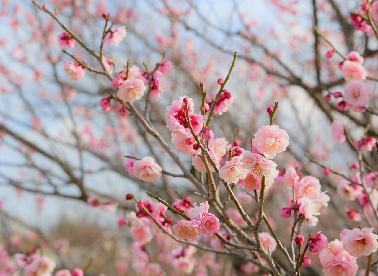 受験生が勉強の合間にできるストレス解消の気分転換方法は？