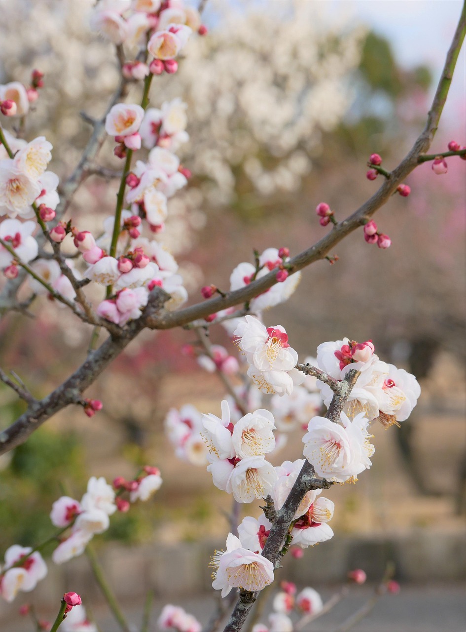 受験生が感染症対策で手荒れしない消毒の工夫とは？