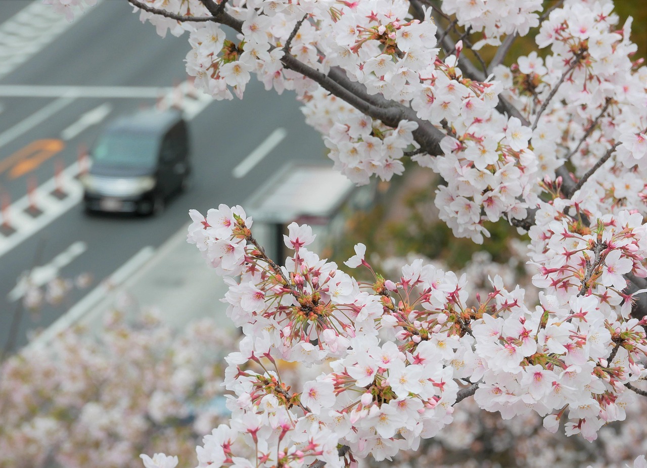 受験生が知っておくべき感染症対策と家族の咳エチケット指導とは？