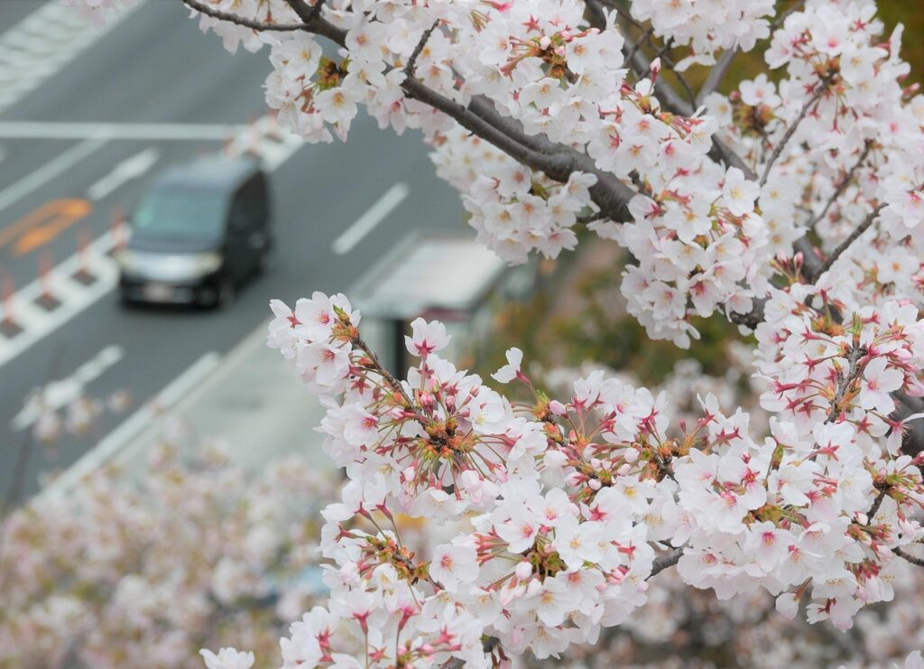 受験生のための感染症対策と待ち時間の冷え対策グッズは？