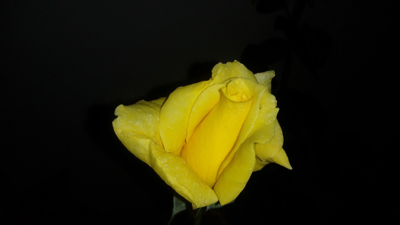 受験生がストレス解消するための笑える動画との上手な付き合い方は？